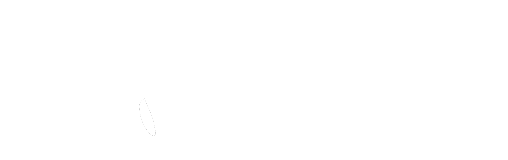 Physiotherapie Logo